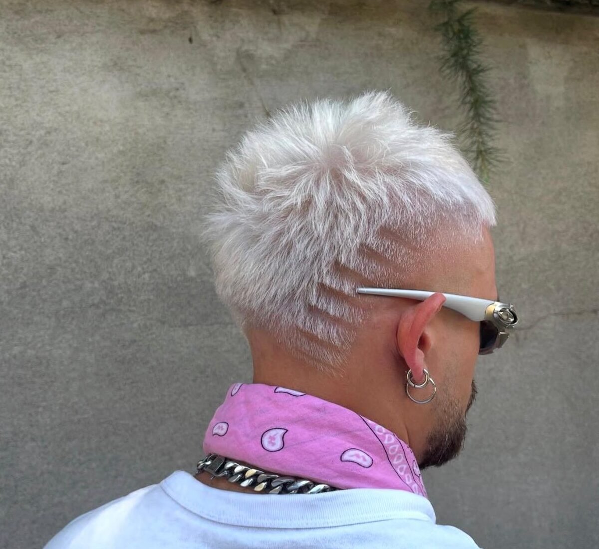 Immagine WhatsApp 2025-11-05 ore 20.28.22_92b96e3c